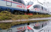 сокола-сапсани четири