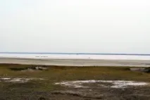 Бурлінське озеро – справжня прикраса Славгорода - Славне місто Алтаю славгорода