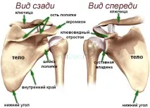 Біль у плечовому суглобі лікування, причини сильного, гострого та ниючого болю плечовому