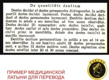 Бюро перекладу латини та латинських перекладачів тату та тексти, Бюро перекладів - Гектор перекладу
