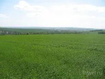 field austerlitz