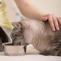 храним храним