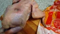 харчування