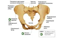 Перелом куприка види (закритий, компресійний), симптоми, лікування, ЛФК, наслідки куприка