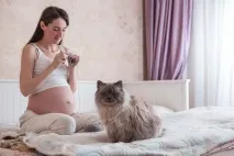 бременност бременност
