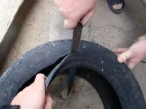 дърво палмово