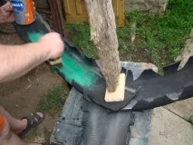тропици