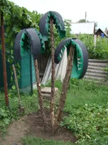 тропици