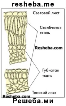 други вещества една друга