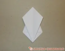 гладиолус гладиолус