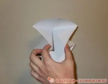 лисица цветно