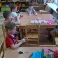 дикі