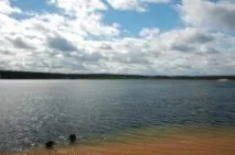 тверской гмуркане