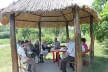 Експерти обговорили проблеми, що загрожують ставропольським лісам обговорили