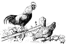 близько