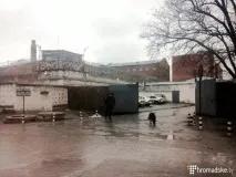 живе