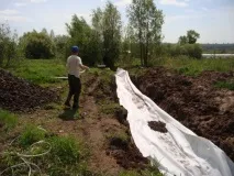 перфорация перфорация