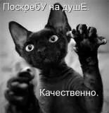 бият навредят