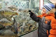 Євроопт» в епіцентрі відкриття - Бобруйск бобруйск