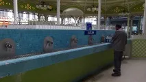 виши виши