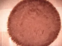 ръце клас