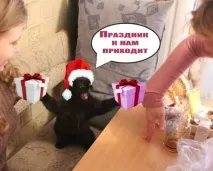 photoshop темата