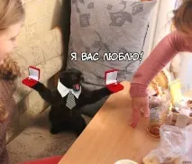 темата темата
