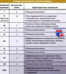 білків