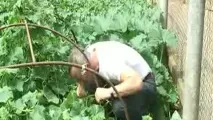 Геморой причини у жінок та чоловіків, симптоми, ознаки, види, стадії, лікування, профілактика жінок