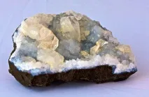 снимка горски