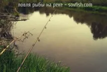 Де і коли краще ловити рибу на річці краще