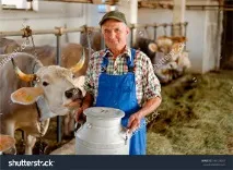 градски пазар