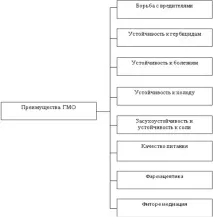 Генно-інженерна технологія - Переваги та недоліки отримання трансгенних організмів - Перший генно-інженерна