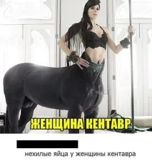 горещ лодки типа