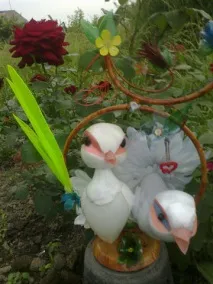 клас