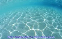 Грунт для морського акваріума, Блог акваріуміста. акваріума