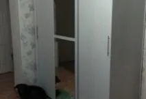 снимки идеи