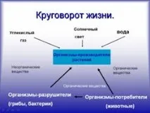 Інформаційні технології на уроках у початковій школі життя