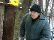 Говорить та показує огляд шести TV-тюнерів PCI огляд