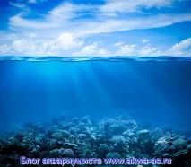 Грунт для морського акваріума, Блог акваріуміста. морського