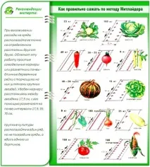 грядки