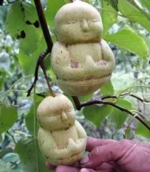 снимки стъпка