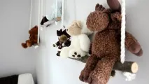 любимата любимата мечка