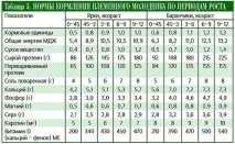 Інтенсивне вирощування племінного молодняку романівської вівці, технологія, поради вирощування