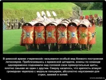 Історичні факти про черепахи фото, цікаві факти про черепахи в картинках, фото факти про цікаві