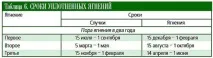 Інтенсивне вирощування племінного молодняку романівської вівці, технологія, поради племінного