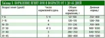 Інтенсивне вирощування племінного молодняку романівської вівці, технологія, поради племінного
