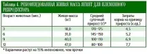 Інтенсивне вирощування племінного молодняку романівської вівці, технологія, поради інтенсивне