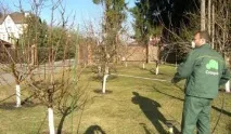 плюсове плюсове
