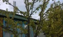 какви какви